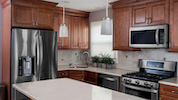 Ken Goodman Construction (Fabuwood Cabinets) - Hallmark / Pecan Kitchen Icon